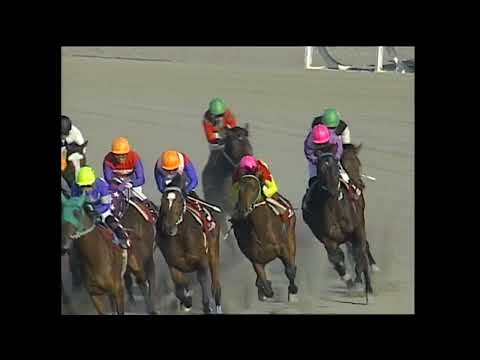 2004年 第41回 六甲盃(ホシオー)