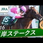 2016年 根岸ステークス（GⅢ） | モーニン | JRA公式