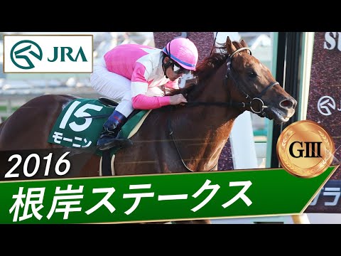2016年 根岸ステークス（GⅢ） | モーニン | JRA公式