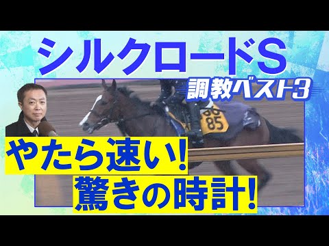【伏兵がランクイン！】ロードフォアエース、ヤブサメ、エーティーマクフィ・・・競馬エイト・高橋賢司トラックマンの調教解説＜シルクロードステークス(ＧⅢ)＞