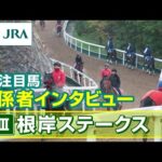【注目馬 関係者インタビュー】2026年 根岸ステークス｜JRA公式