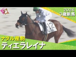 ナダル産駒ティエラレイナが接戦を制しデビュー勝ち！岩田望来騎手「馬の力を信じていました」2026年2月1日(日)３歳新馬　京都ダート1400m　実況：服部優陽【カンテレ公式】