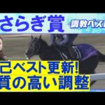 「動きの質がガラッと変わった」エムズビギン、ゾロアストロ、ゴーイントゥスカイ・・・競馬エイト・高橋賢司トラックマンの調教解説＜きさらぎ賞(ＧⅢ)＞