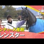 アレンスターが８馬身差の圧勝！三浦騎手「秘めている能力高い」2026年2月7日(土)３歳新馬　京都ダート1800m　実況：石田一洋【カンテレ公式】