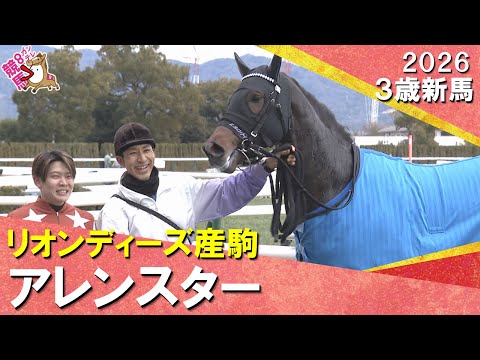 アレンスターが８馬身差の圧勝！三浦騎手「秘めている能力高い」2026年2月7日(土)３歳新馬　京都ダート1800m　実況：石田一洋【カンテレ公式】