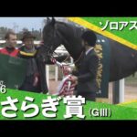 2026年きさらぎ賞(ＧⅢ) ゾロアストロ　実況：石田一洋【カンテレ公式】