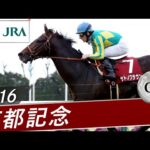 2016年 京都記念（GⅡ） | サトノクラウン | JRA公式