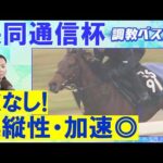 「文句なしの調教過程」ロブチェン、ラヴェニュー、リアライズシリウス・・・競馬エイト・高橋賢司トラックマンの調教解説<共同通信杯(GⅢ)>