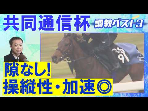 「文句なしの調教過程」ロブチェン、ラヴェニュー、リアライズシリウス・・・競馬エイト・高橋賢司トラックマンの調教解説<共同通信杯(GⅢ)>