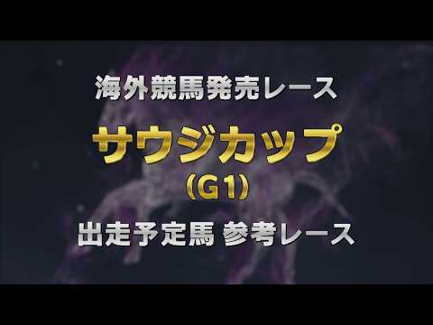【参考レース】2026年 サウジカップ(G1) | JRA公式