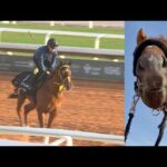 アタック！地方競馬｜第359回｜いざサウジダービーへ！　ベストグリーン｜NAR公式