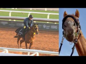 アタック！地方競馬｜第359回｜いざサウジダービーへ！　ベストグリーン｜NAR公式