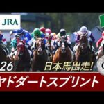 2026年 リヤドダートスプリント（G2）| JRA公式