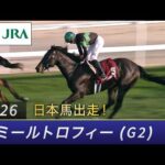 2026年 アミールトロフィー（G2） | JRA公式