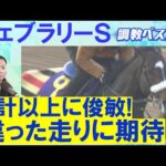 【あのGⅠ馬がランク外！1位はなんと…】コスタノヴァ、ダブルハートボンド、ウィルソンテソーロ・・・ダート王決定戦！競馬エイト・高橋賢司トラックマンの調教解説＜フェブラリーステークス(ＧⅠ)＞