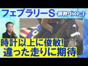 【あのGⅠ馬がランク外！1位はなんと…】コスタノヴァ、ダブルハートボンド、ウィルソンテソーロ・・・ダート王決定戦！競馬エイト・高橋賢司トラックマンの調教解説＜フェブラリーステークス(ＧⅠ)＞