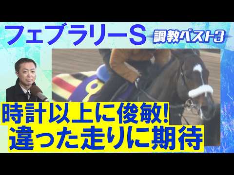 【あのGⅠ馬がランク外！1位はなんと…】コスタノヴァ、ダブルハートボンド、ウィルソンテソーロ・・・ダート王決定戦！競馬エイト・高橋賢司トラックマンの調教解説＜フェブラリーステークス(ＧⅠ)＞