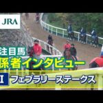 【注目馬 関係者インタビュー】2026年 フェブラリーステークス|JRA公式