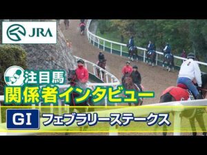 【注目馬 関係者インタビュー】2026年 フェブラリーステークス|JRA公式