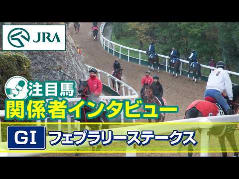 【注目馬 関係者インタビュー】2026年 フェブラリーステークス｜JRA公式