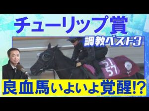 「活気がある！変わり身あり」アランカール、タイセイボーグ、ソルパッサーレ・・・競馬エイト・高橋賢司トラックマンの調教解説＜チューリップ賞(ＧⅡ)＞
