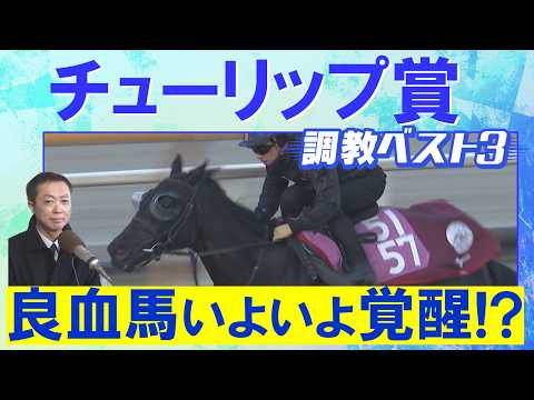 「活気がある！変わり身あり」アランカール、タイセイボーグ、ソルパッサーレ・・・競馬エイト・高橋賢司トラックマンの調教解説＜チューリップ賞(ＧⅡ)＞