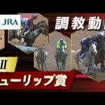 【調教動画】2026年 チューリップ賞｜JRA公式