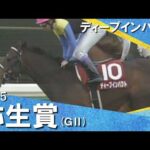 「勝った!勝った!3連勝!」2005年弥生賞(GⅡ) ディープインパクト【カンテレ公式】