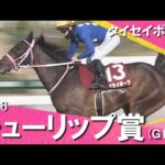 2026年チューリップ賞(GⅡ) タイセイボーグ 実況:川島壮雄【カンテレ公式】