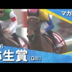 「やはり三強だ！」2016年弥生賞(ＧⅡ) マカヒキ【カンテレ公式】
