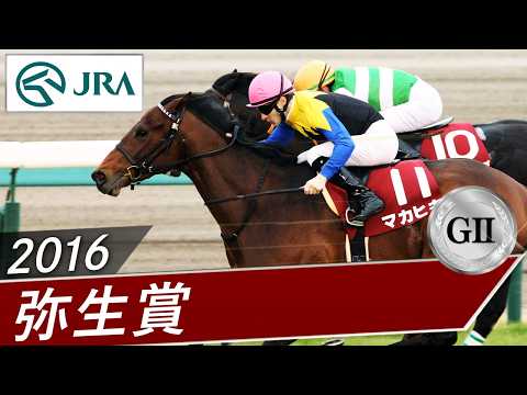 2016年 弥生賞（GⅡ） | マカヒキ | JRA公式